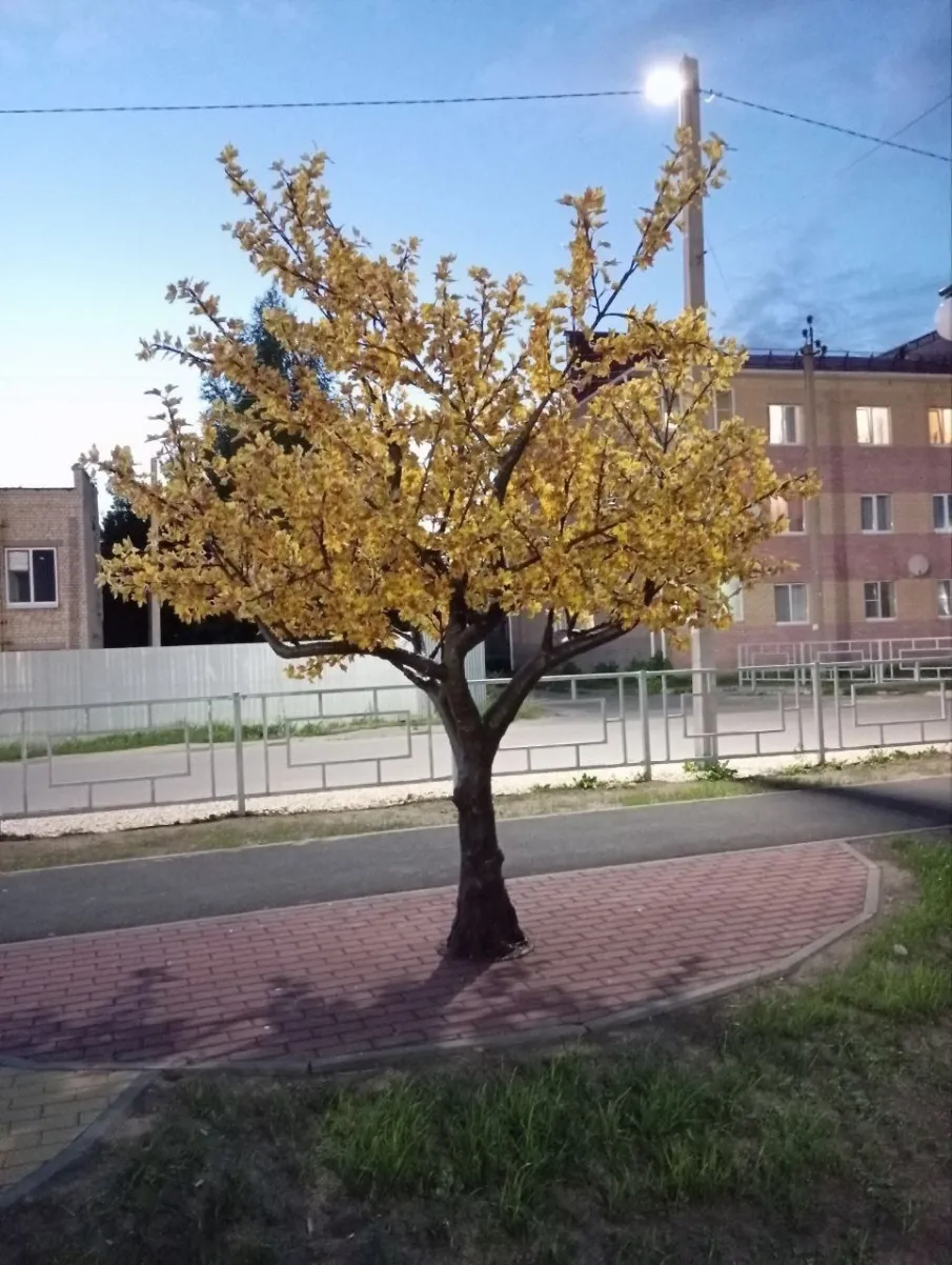 Новое общественное пространство